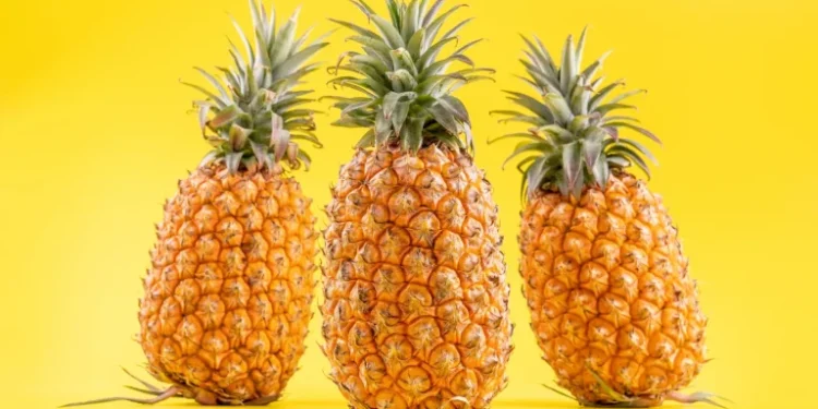 7 Manfaat Nanas untuk Kesehatan, Bantu Maksimalkan Pencernaan