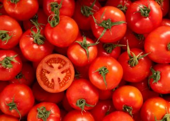Mengenal Vitamin dalam Tomat dan Manfaatnya untuk Tubuh